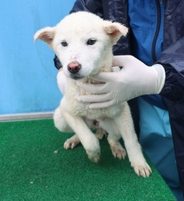 제주 동물보호센터_450650202501096